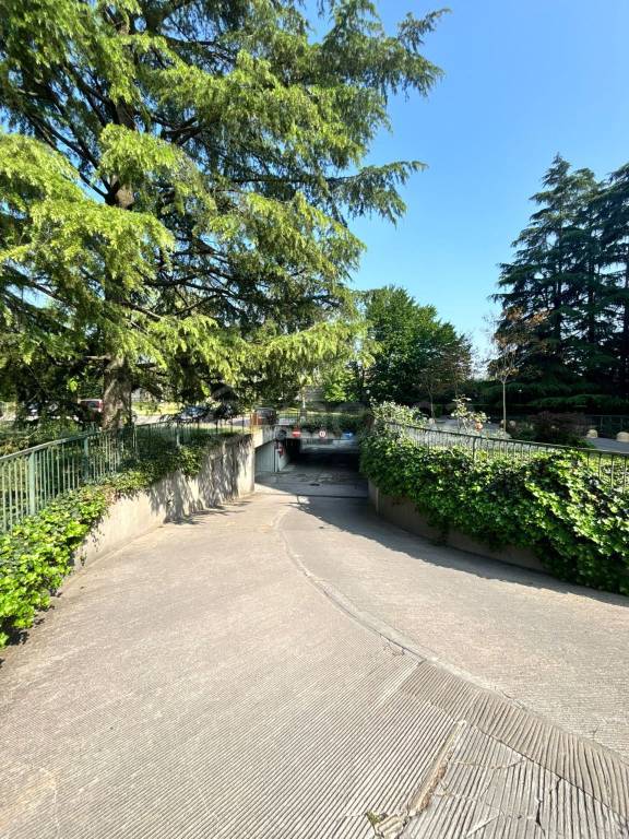 immagine annuncio 5 di 8