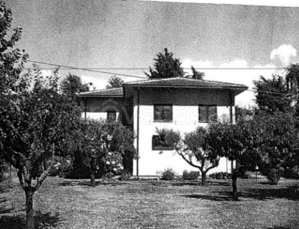 immagine annuncio 7 di 11