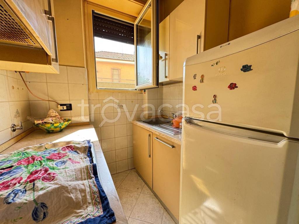 immagine annuncio 6 di 14