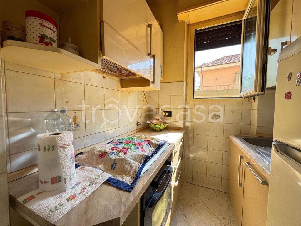 immagine annuncio 7 di 14