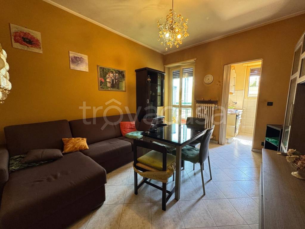 immagine annuncio 3 di 14