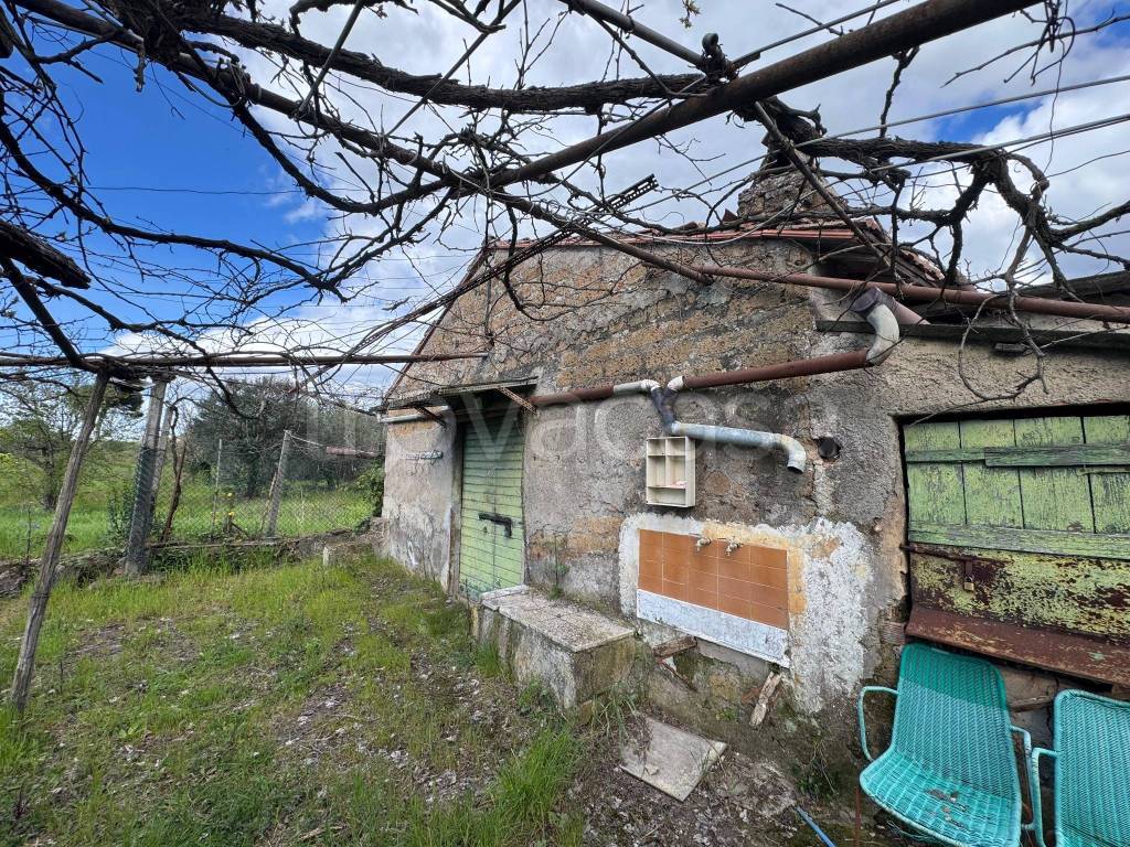 immagine annuncio 1 di 14