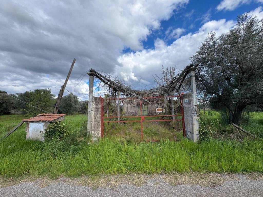 immagine annuncio 2 di 14