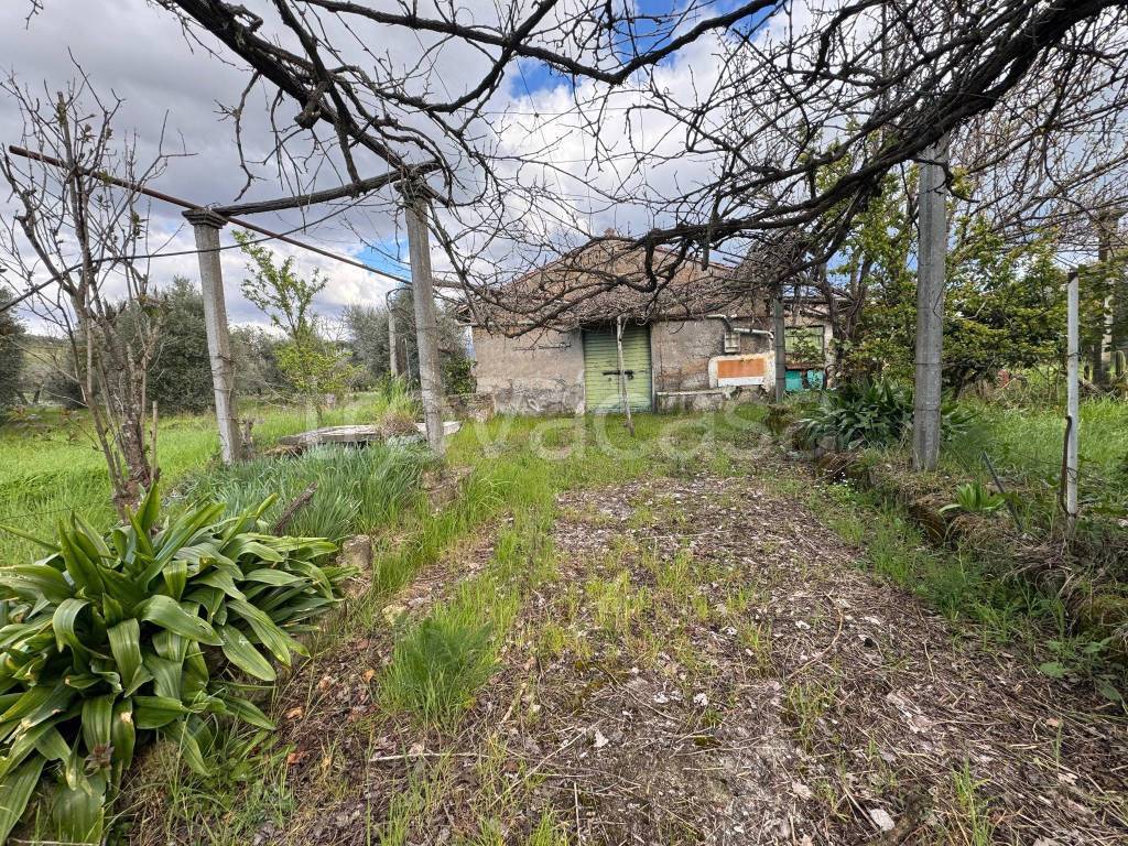 immagine annuncio 3 di 14