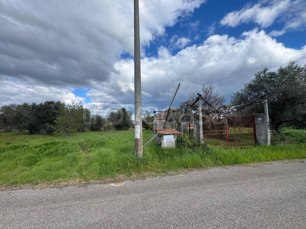 immagine annuncio 4 di 14