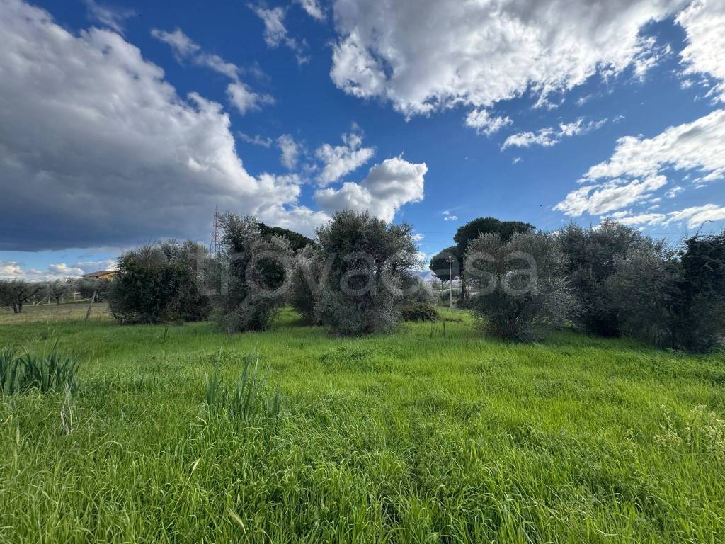 immagine annuncio 5 di 14