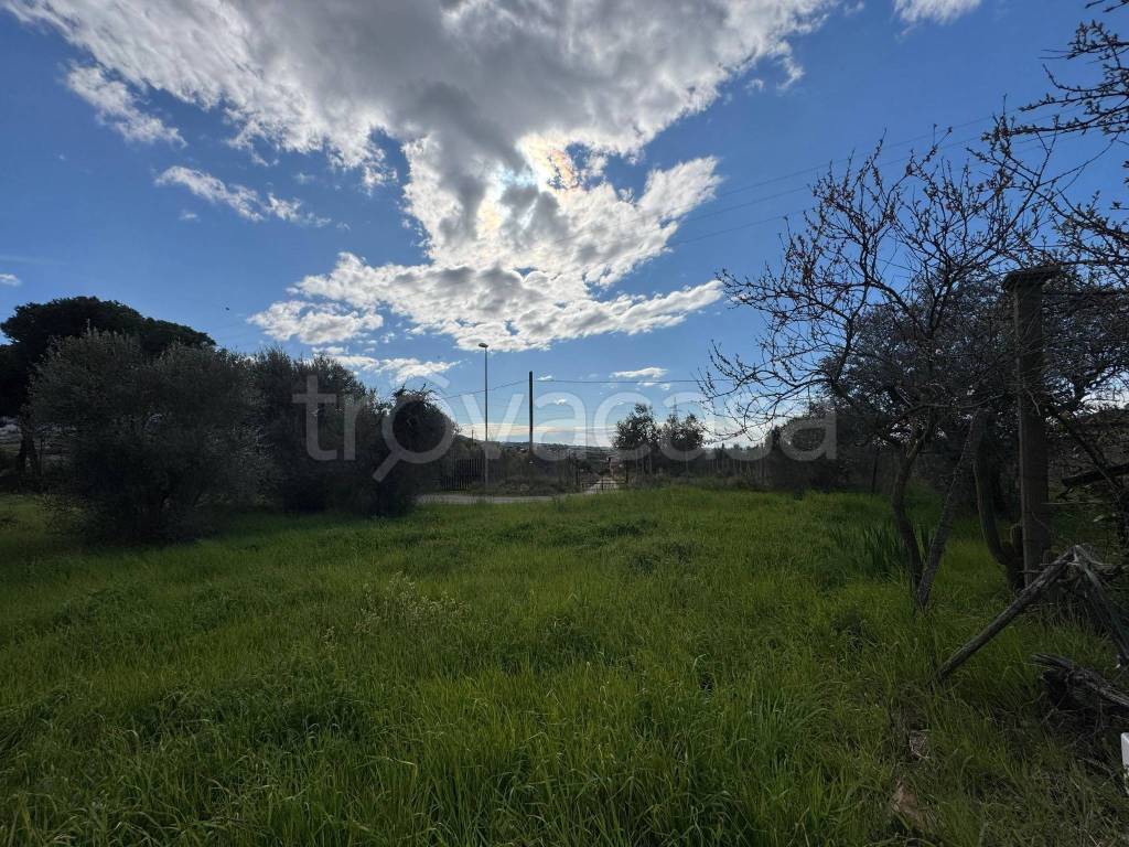 immagine annuncio 6 di 14