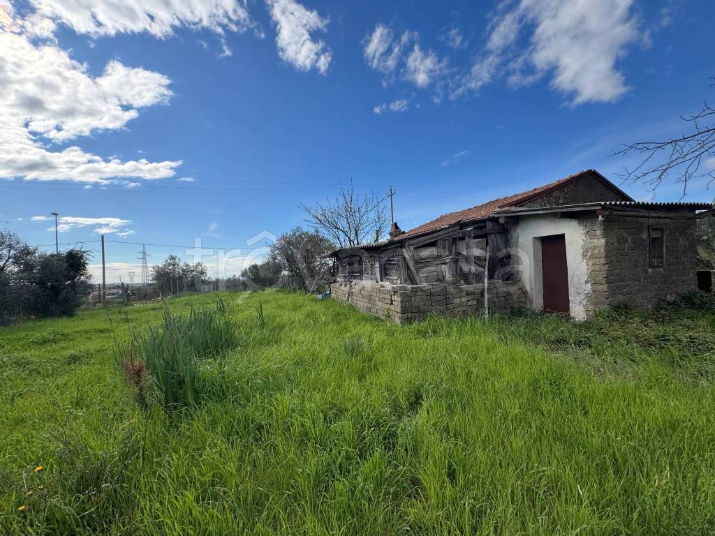 immagine annuncio 7 di 14