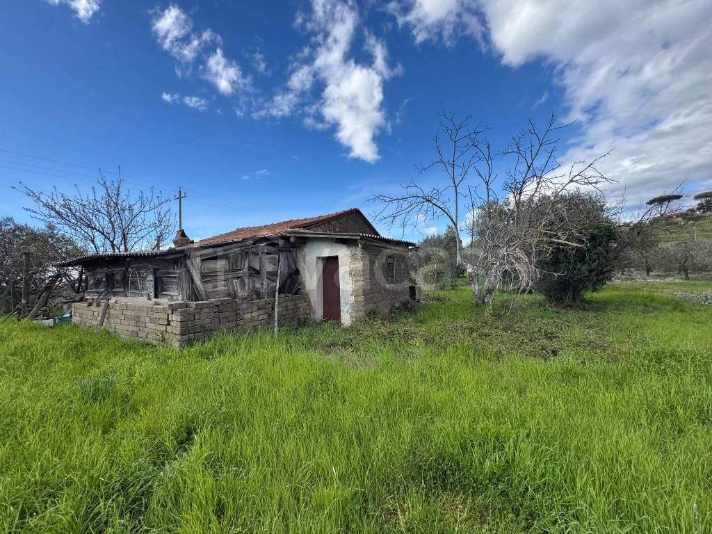 immagine annuncio 8 di 14