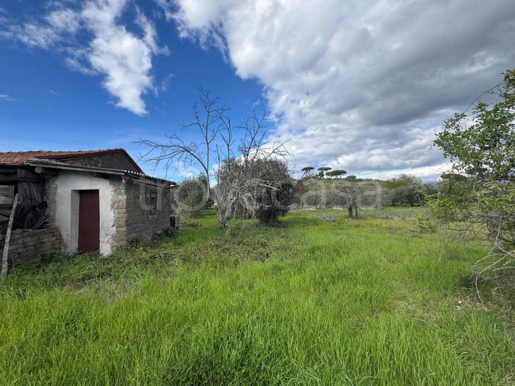 immagine annuncio 9 di 14