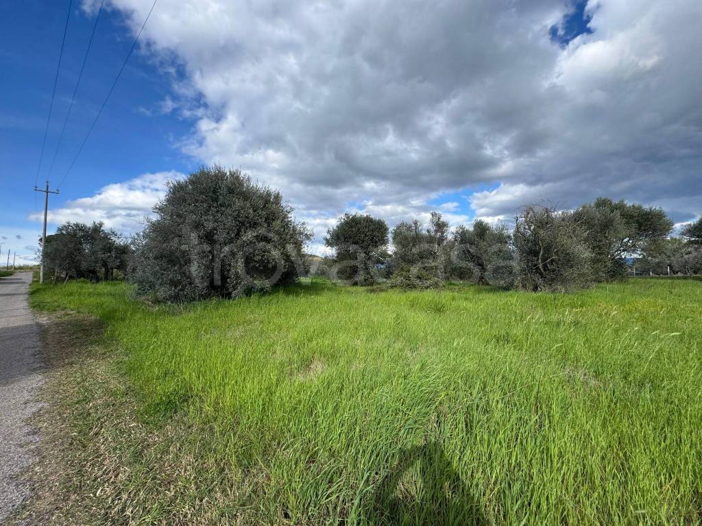 immagine annuncio 10 di 14