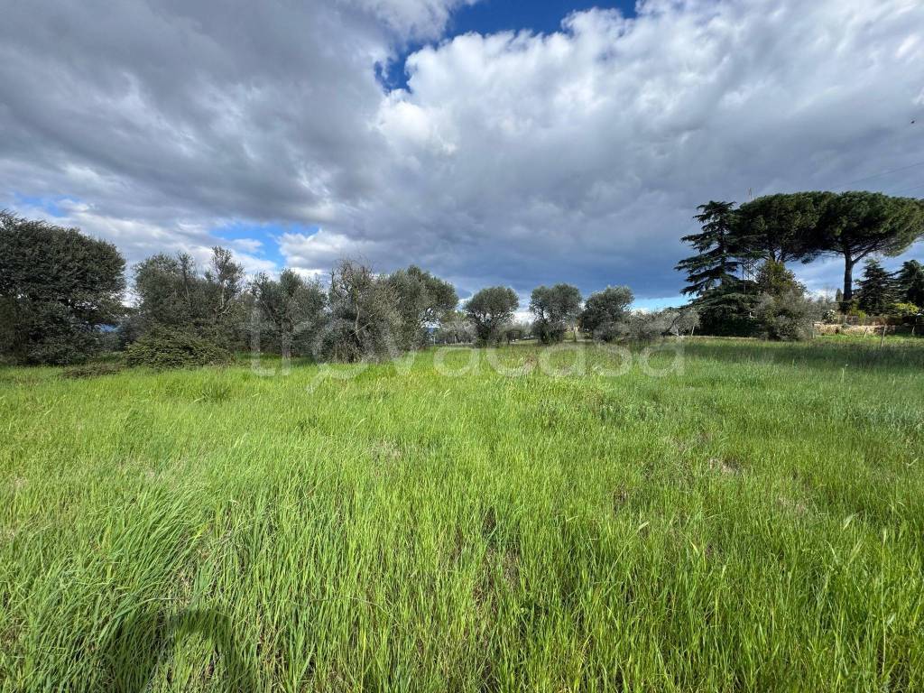 immagine annuncio 11 di 14