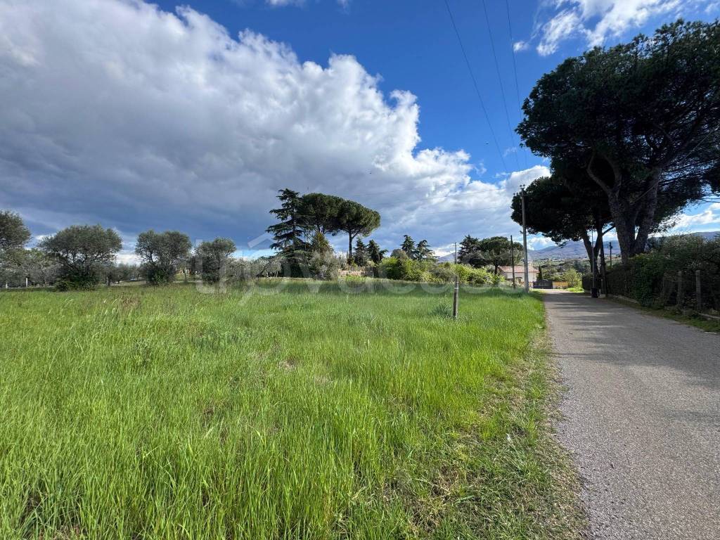 immagine annuncio 12 di 14