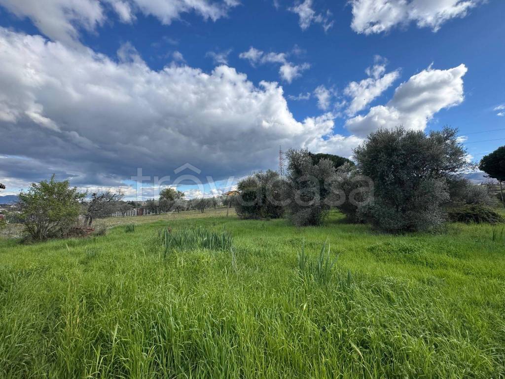 immagine annuncio 13 di 14