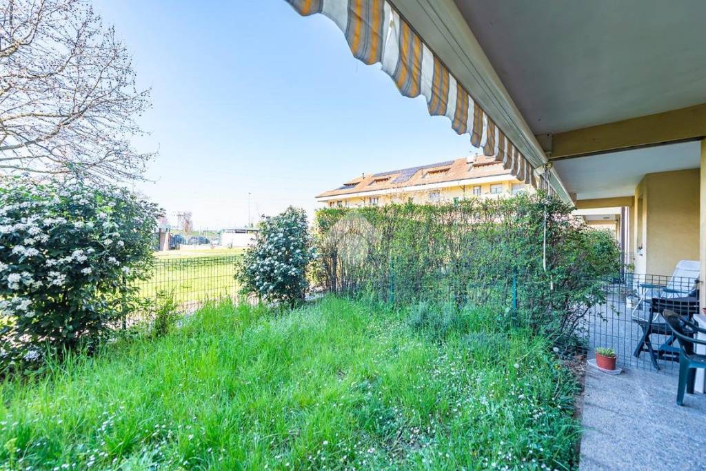 immagine annuncio 9 di 15