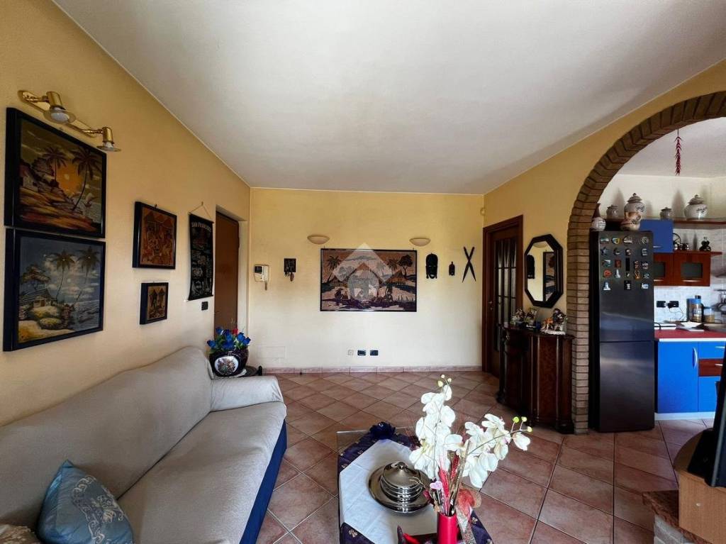immagine annuncio 11 di 15