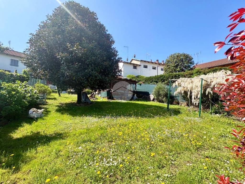 immagine annuncio 4 di 15