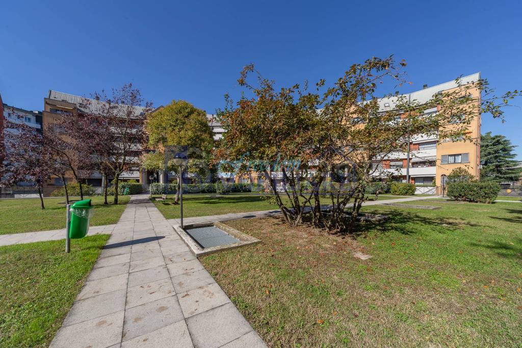 immagine annuncio 2 di 12