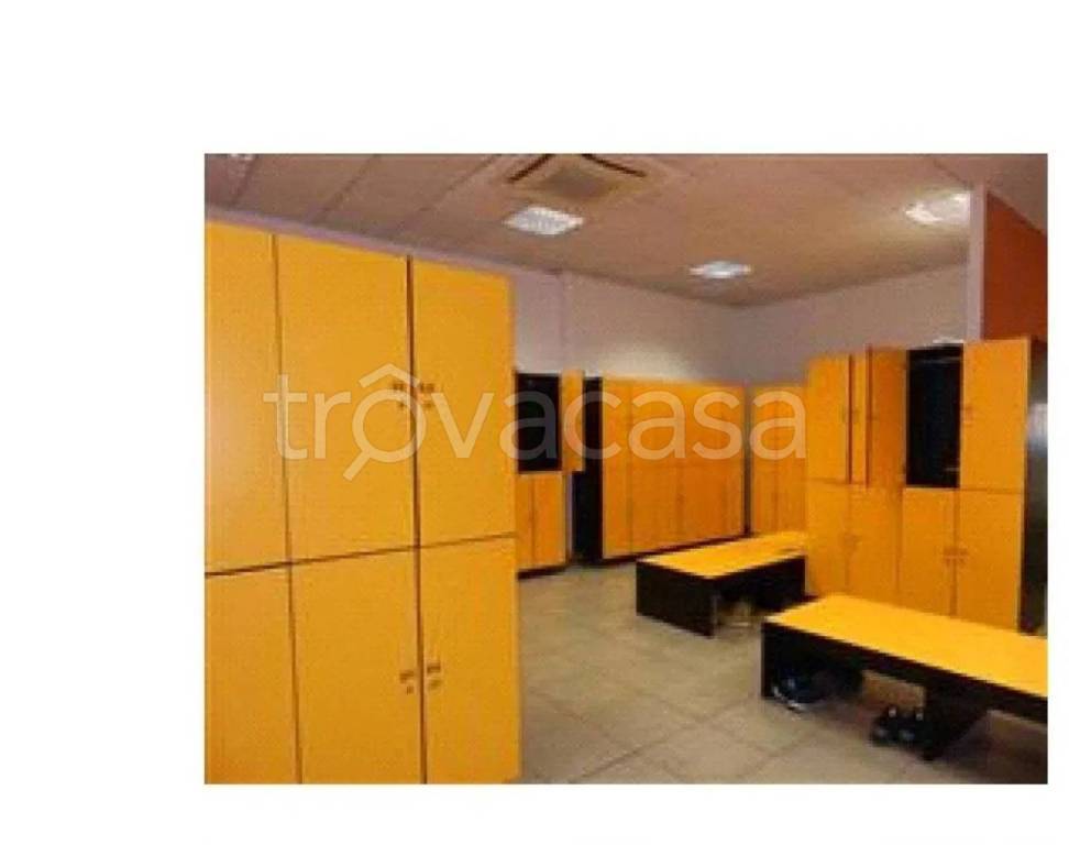 immagine annuncio 9 di 13