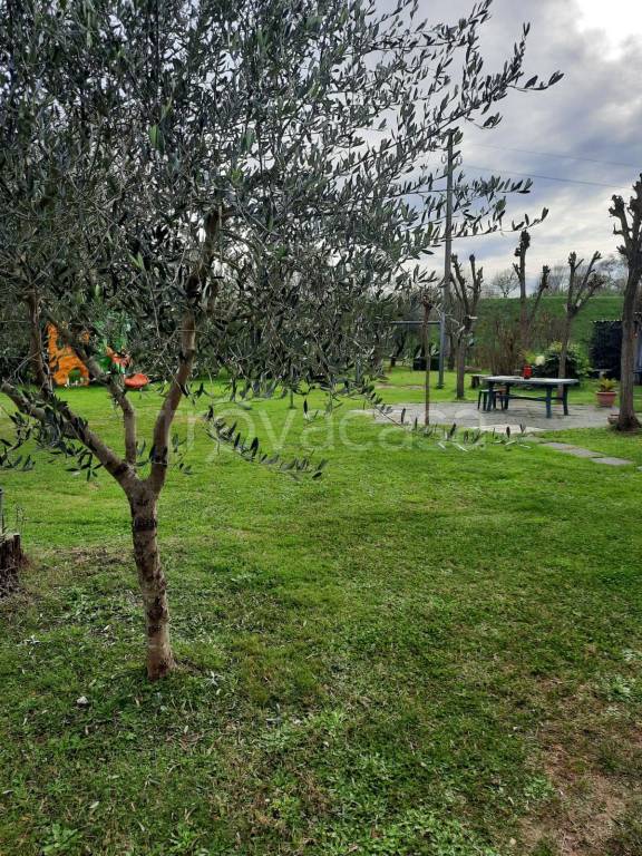 immagine annuncio 5 di 12