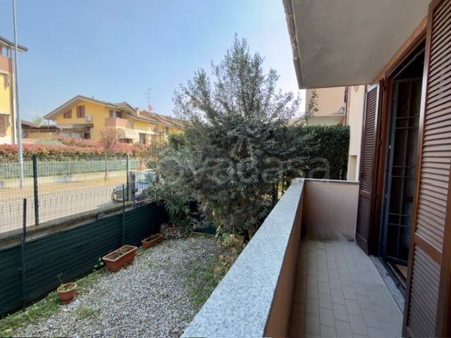 immagine annuncio 7 di 15