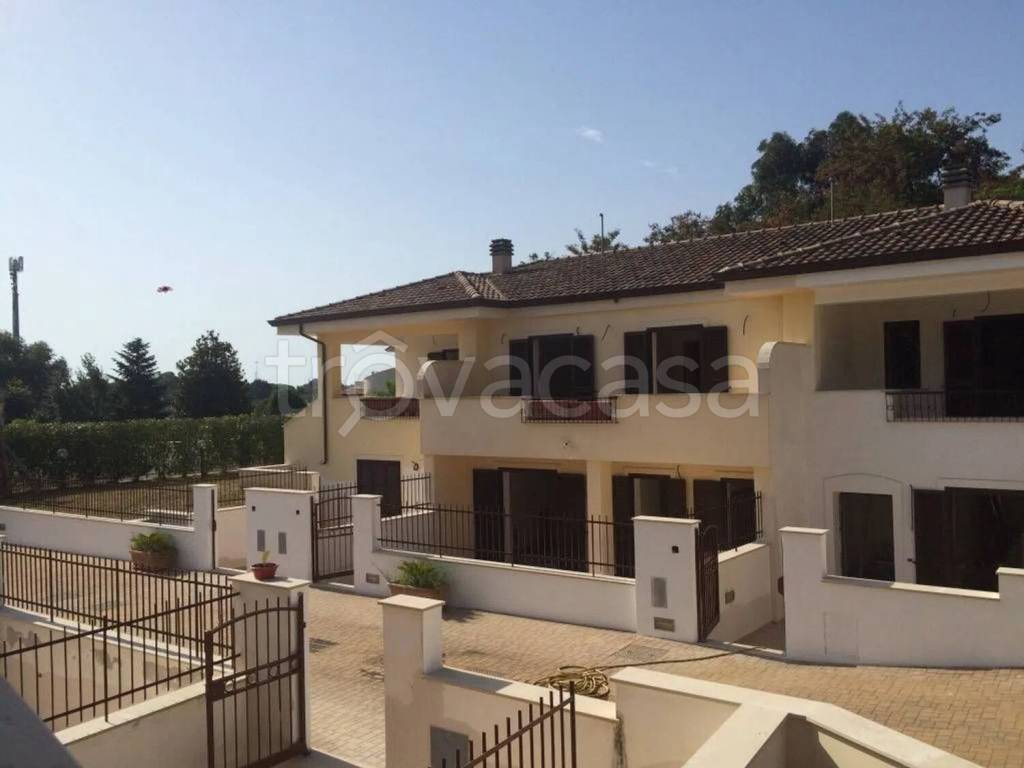 immagine annuncio 7 di 14