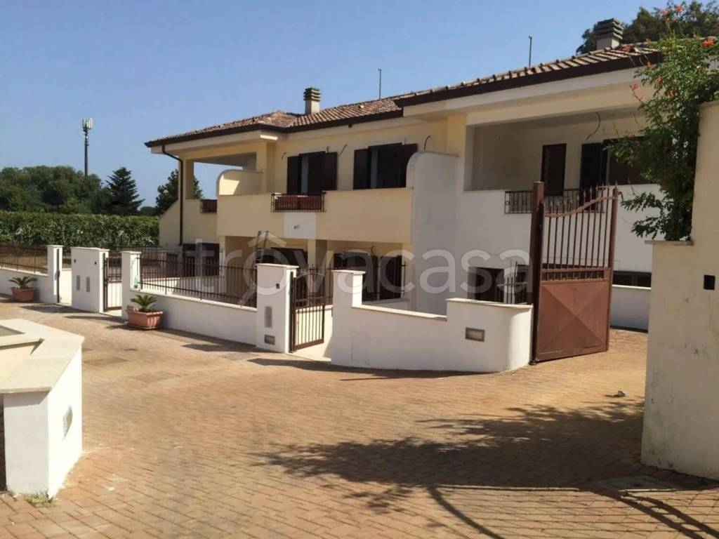 immagine annuncio 12 di 14