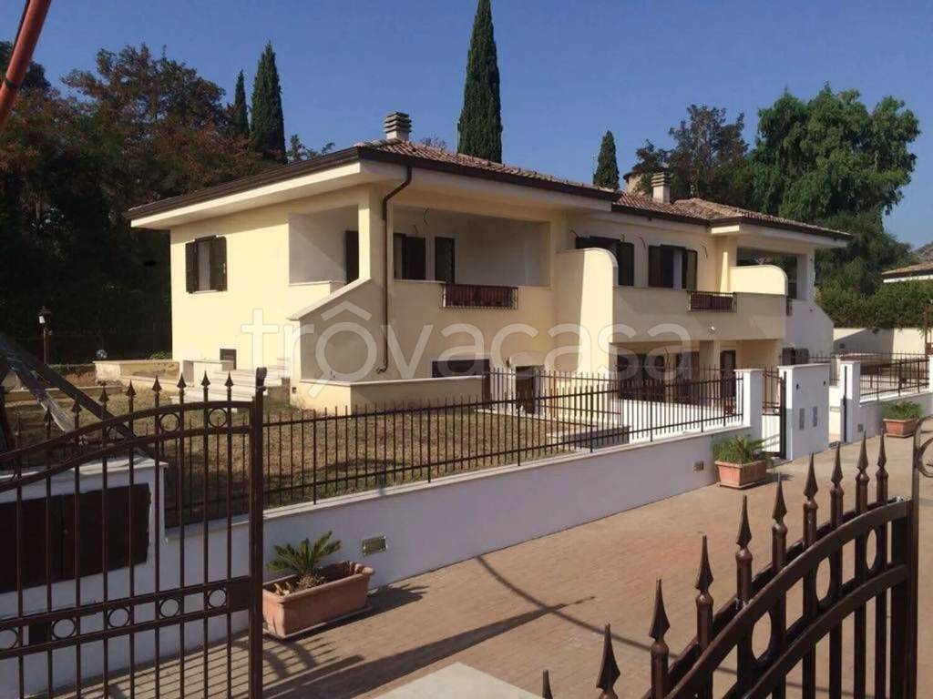 immagine annuncio 13 di 14