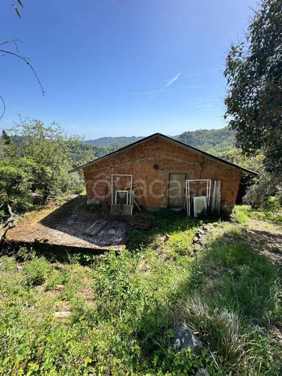 immagine annuncio 2 di 11