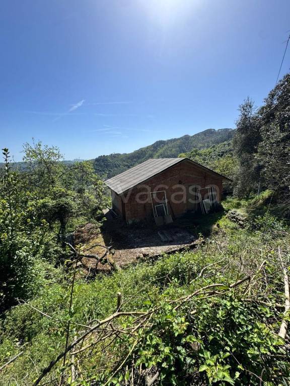 immagine annuncio 5 di 11