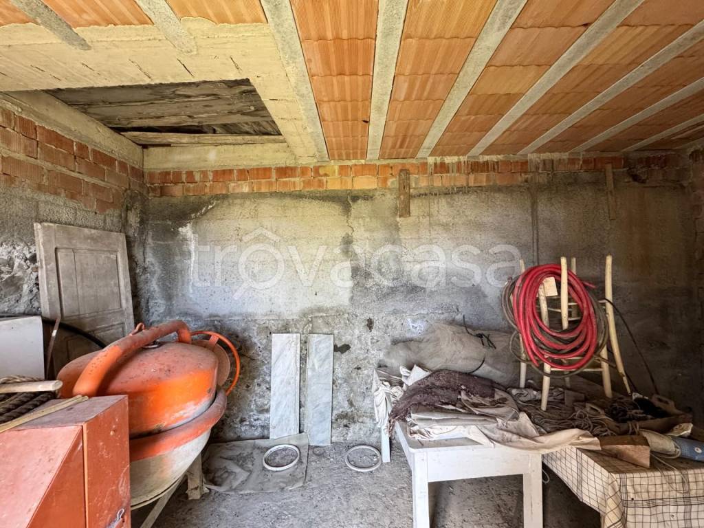 immagine annuncio 7 di 11