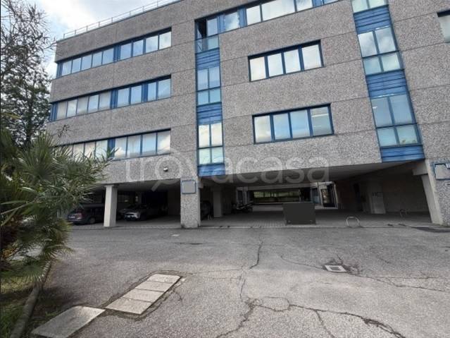 immagine annuncio 4 di 9