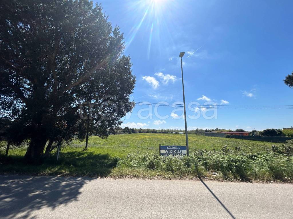 immagine annuncio 3 di 15