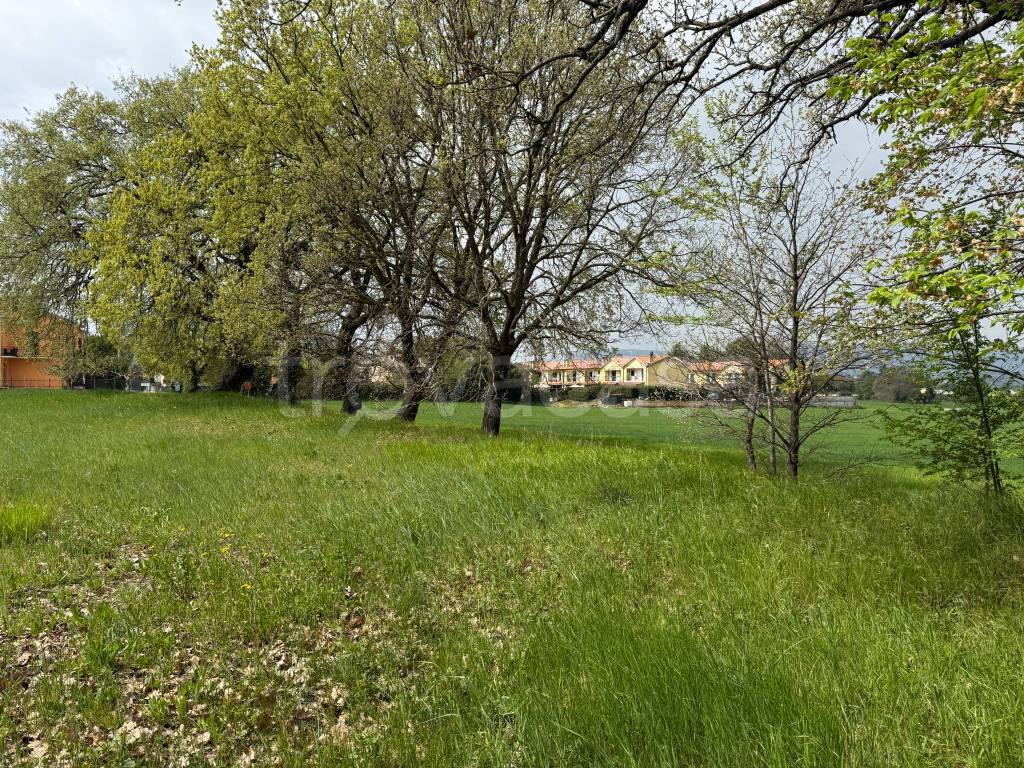 immagine annuncio 4 di 8
