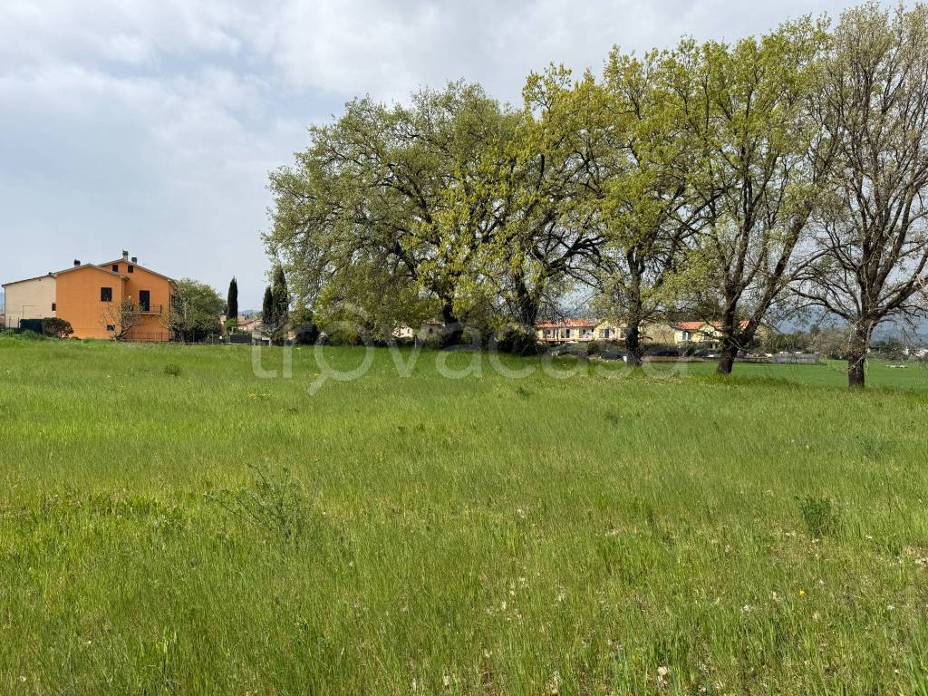 immagine annuncio 6 di 8