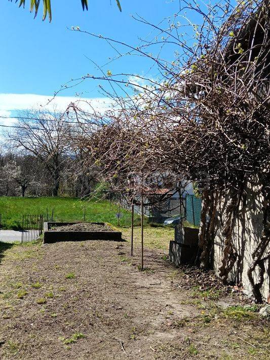 immagine annuncio 2 di 4