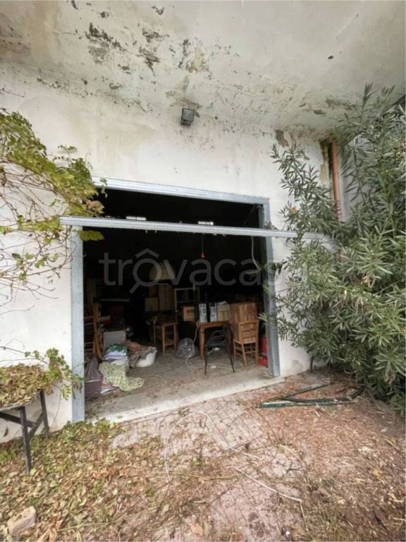 immagine annuncio 8 di 12