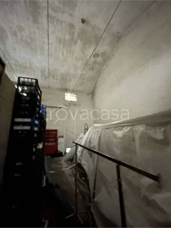 immagine annuncio 9 di 12
