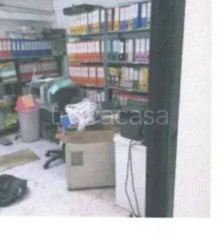 immagine annuncio 5 di 14