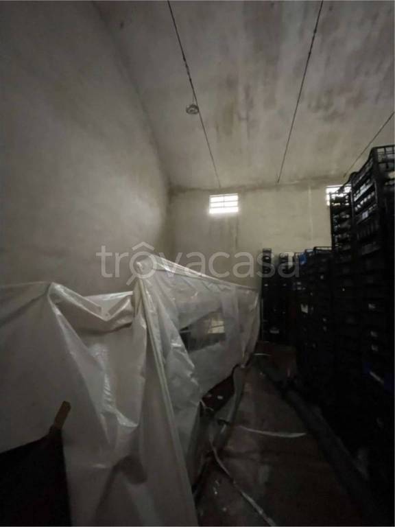 immagine annuncio 10 di 12