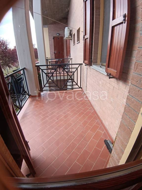 immagine annuncio 6 di 14