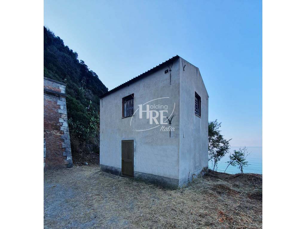 immagine annuncio 3 di 13