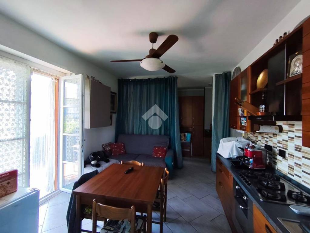 immagine annuncio 4 di 14