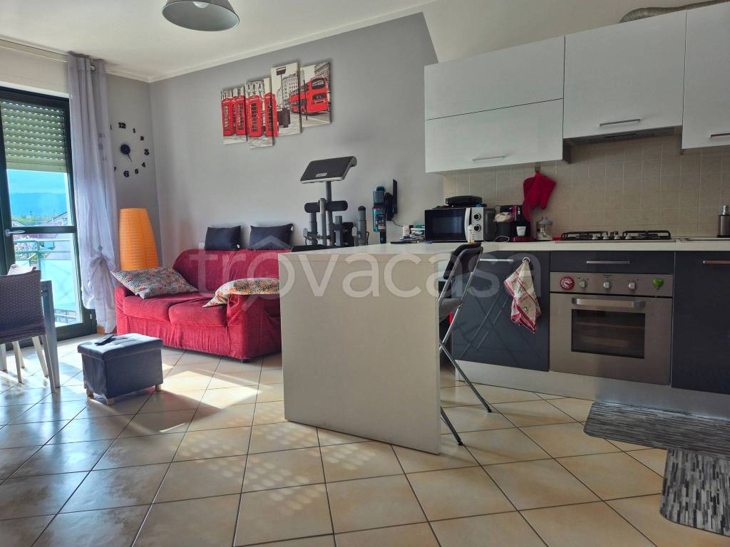 immagine annuncio 2 di 15