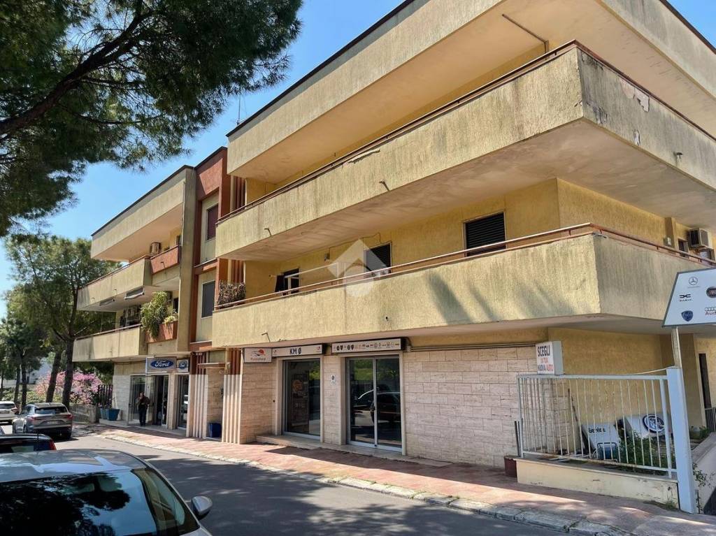 immagine annuncio 14 di 15