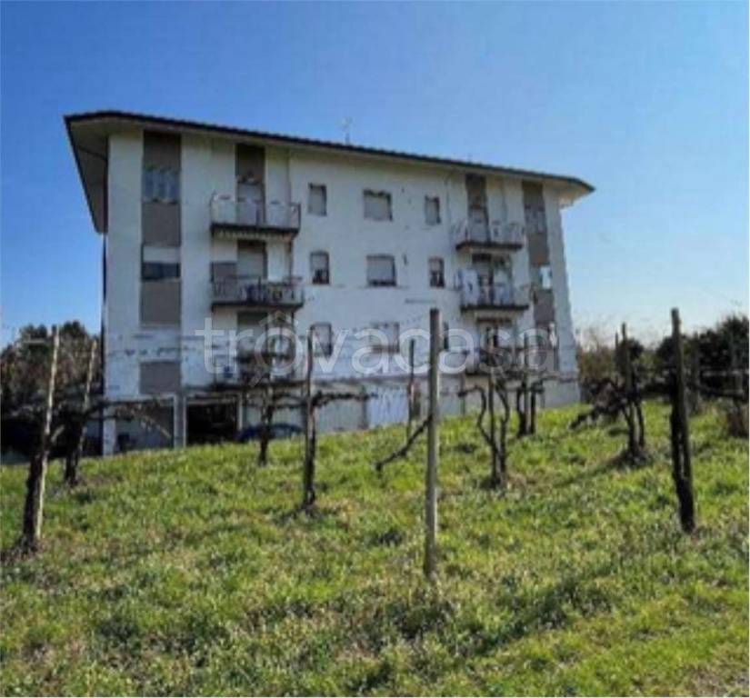 immagine annuncio 2 di 12
