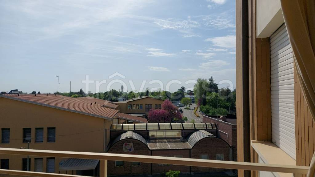 immagine annuncio 5 di 14