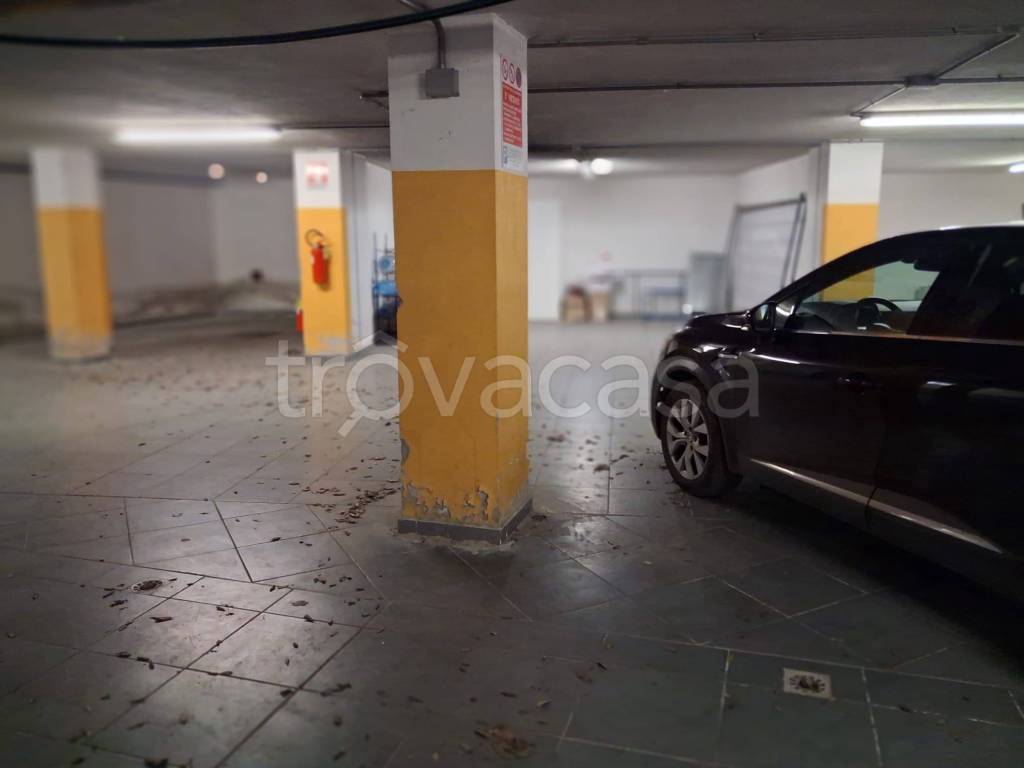 immagine annuncio 11 di 14