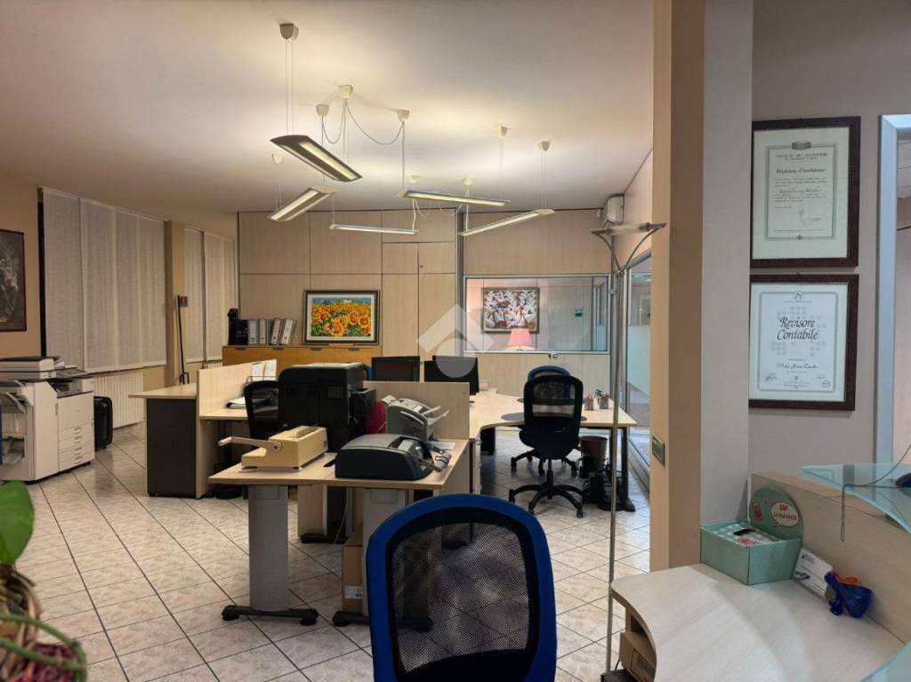 immagine annuncio 7 di 12