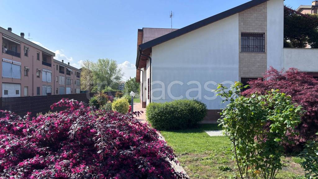 immagine annuncio 8 di 15